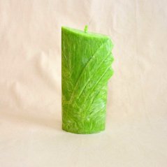 Svíčka: Archa - Máta kadeřavá