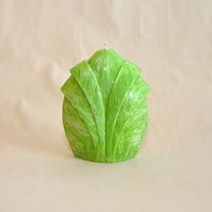 Svíčka: Pupen - Máta kadeřavá